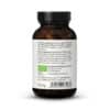 Oesterzwam Pleurotus extract capsules