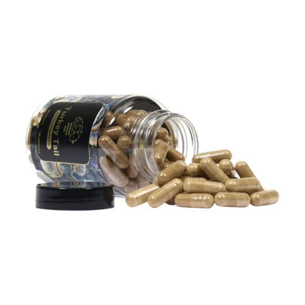 McMyco Turkey Tail Coriolus Versicolor capsules