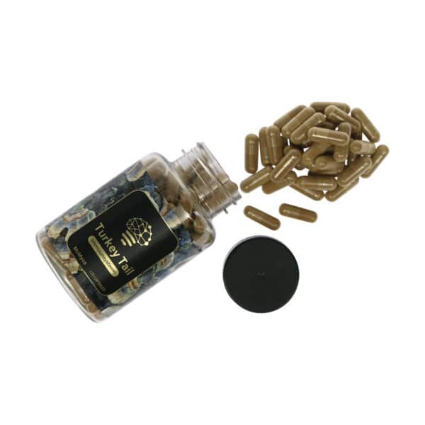 McMyco Turkey Tail Coriolus Versicolor capsules